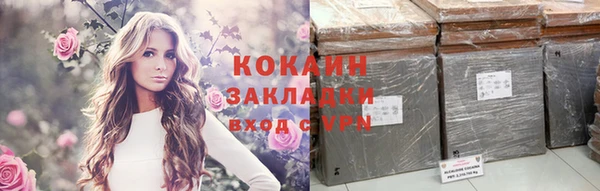 ешки Аркадак