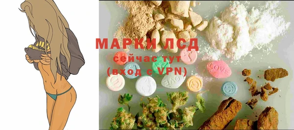 ешки Аркадак