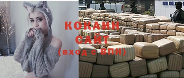 ешки Аркадак