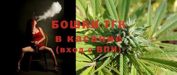 ешки Аркадак